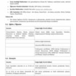 İnsan Kaynakları Başkanı Görev Tanım Dokümanı - Görsel 11