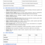 İnsan Kaynakları Başkanı Görev Tanım Dokümanı - Görsel 15