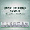 Finans Direktörü Asistanı Görev Tanımı