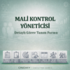 Mali Kontrol Yöneticisi Görev Tanımı