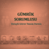 Gümrük Sorumlusu Görev Tanım Dokümanı - Görsel 1